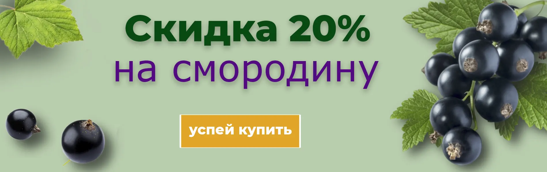 Скидка на черную смородину 20% Гарденстрит Нижний Новгород