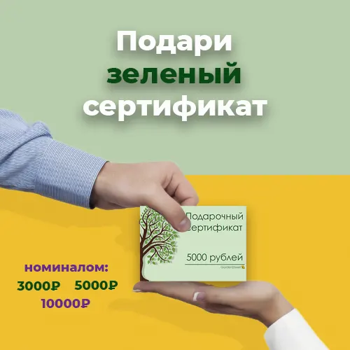 Подарочный сертификат