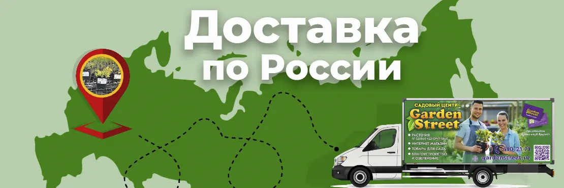 Доставка по РФ