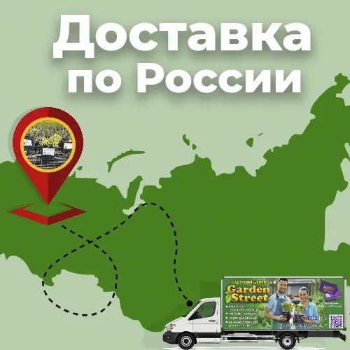 Доставка по РФ