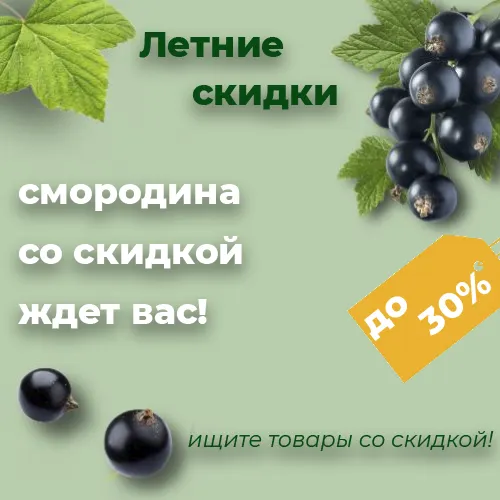 Смородина 2025